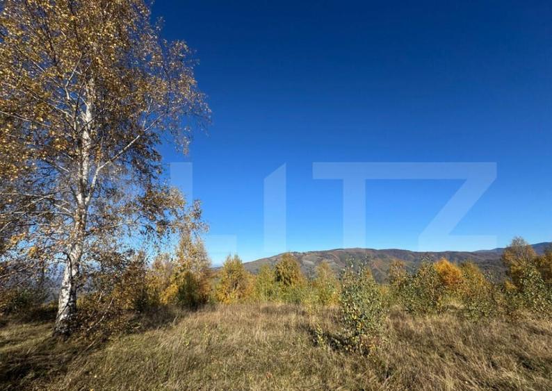 Teren extravilan de 17.183 mp in Tarsa - 2