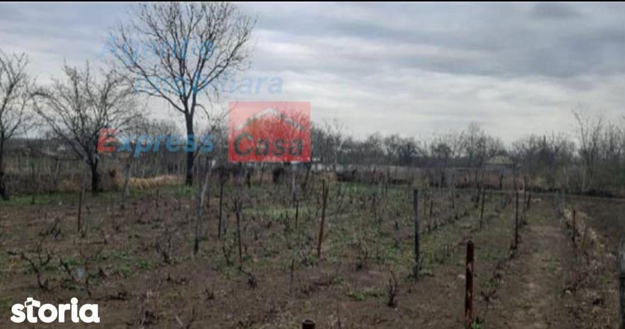 Teren de vanzare 3000 mp, Prisacani (27 km de IASI) - 2