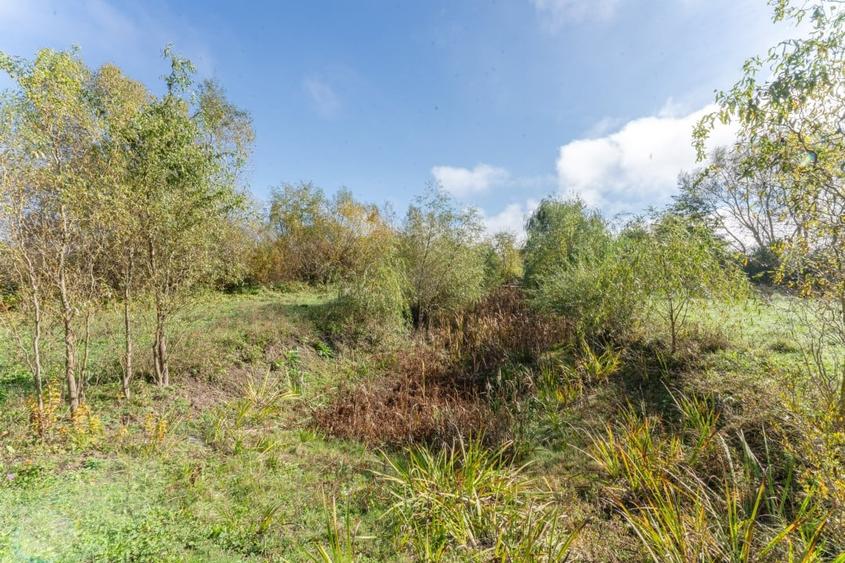 Proprietate rara in Covasna - liniste, spatiu si potential de investitie - 38