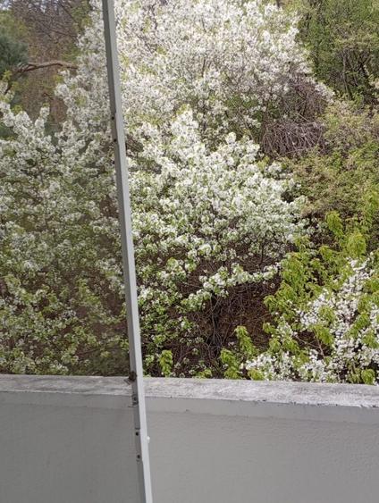 Vand apartament trei camere etaj 2,zona rezidentiala Piatra Neamt - 2