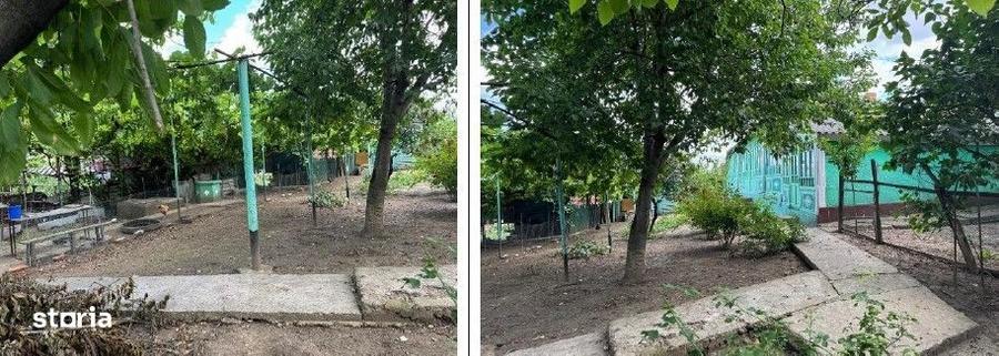 Casă cu 3 camere cu Teren 1481 Mp în Mogoșești