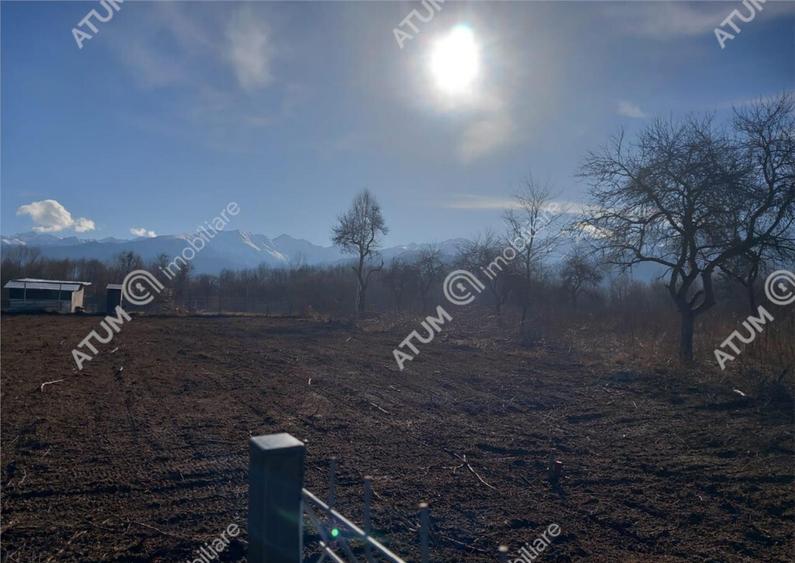 Teren intravilan de 1900 mp in Avrig zona Valea Avrigului - 9