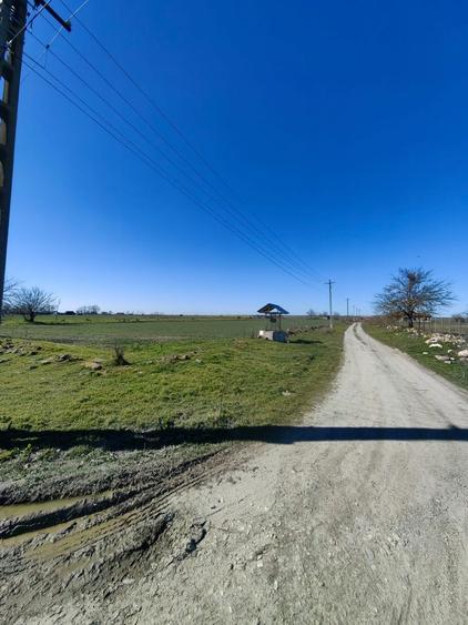 Teren 7.061 mp de vanzare Dropia, Tortomanu | 5/mp | Parcelabil - 5