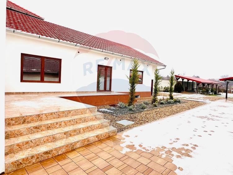 Casă de vânzare în zona Oncea, Str Ion Bogdan, teren 2.000 mp - 18