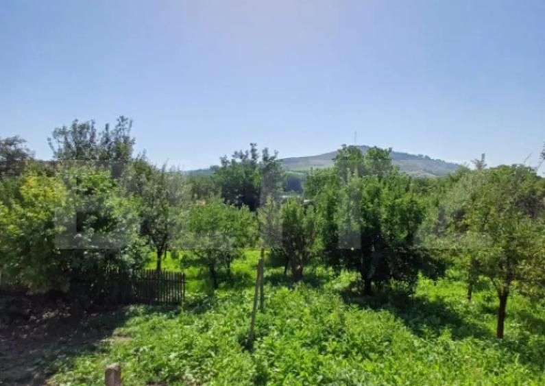 Casa 4 camere in Viisoara, langa Campia Turzii - 3