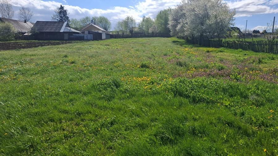 Teren intravilan 1800 mp, Pocoleni (Radaseni) - forma dreptunghiulara, posibilitate parcelare - 2