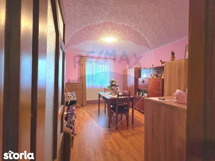 Casa pe strada Prefect Vasile Moldovan Tarnaveni - 12