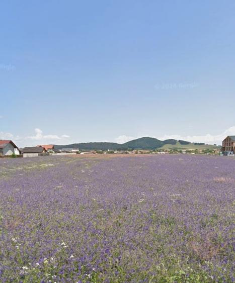 Loturi de casa 535mp cu utilitati, zona Primaverii, Sanpetru - 1