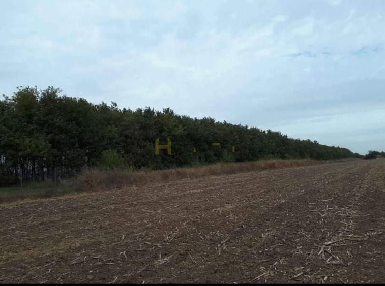 Teren Gruiu sat Lipia - 2