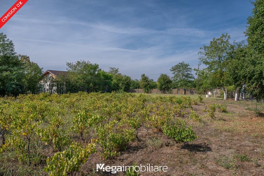 ✅ Stradă asfaltată: O oază de liniște la doar 20 minute de Constanța - 14