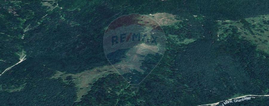 COMISION 0% | Teren 23.000 mp | Extravilan | Râsnov - Pârâul rece - 2