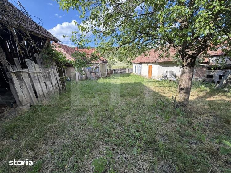 Casa cu 3 camere si un teren de 4100 mp - 6
