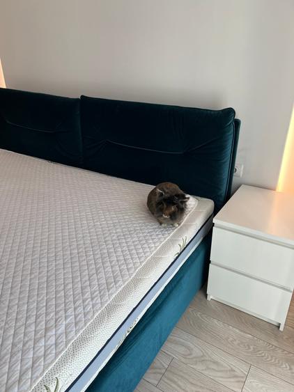 Novum Politehnica Iuliu Maniu 6R : 500+TVA = 605 EUR TVA INCLUS - 2