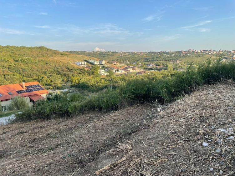 Teren Saldabagiu Hanul Pescarilor - 1