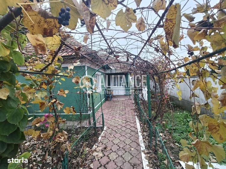 CUMPANA ( cod02) - Casa batraneasca 5 camere cu teren 491 mp - 9