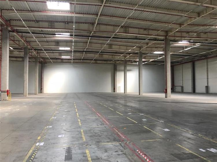 Inchiriere depozit/hala/spatiu industrial Popesti Leordeni-DN4-A0 - 5