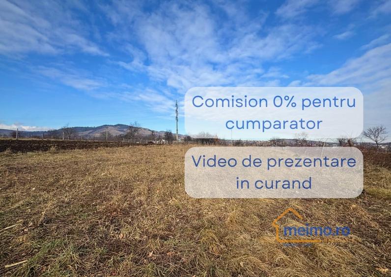 Teren intravilan 1646mp, Valea Arinilor, cu iesire la doua strazi si vie pe rod - 1