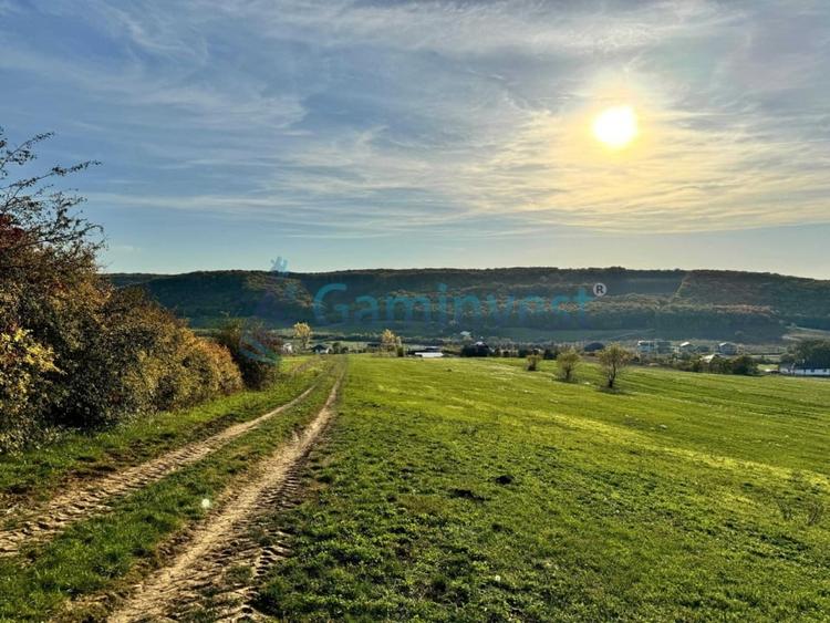 Teren de vanzare in Betfia, 5487 mp intravilan, Bihor - 5