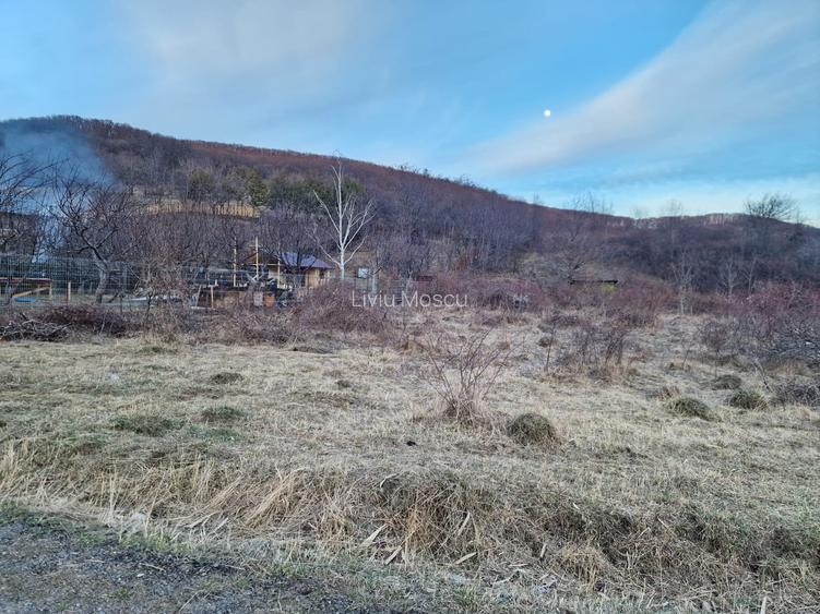 Teren intravilan 4640 mp, Piatra Neamt