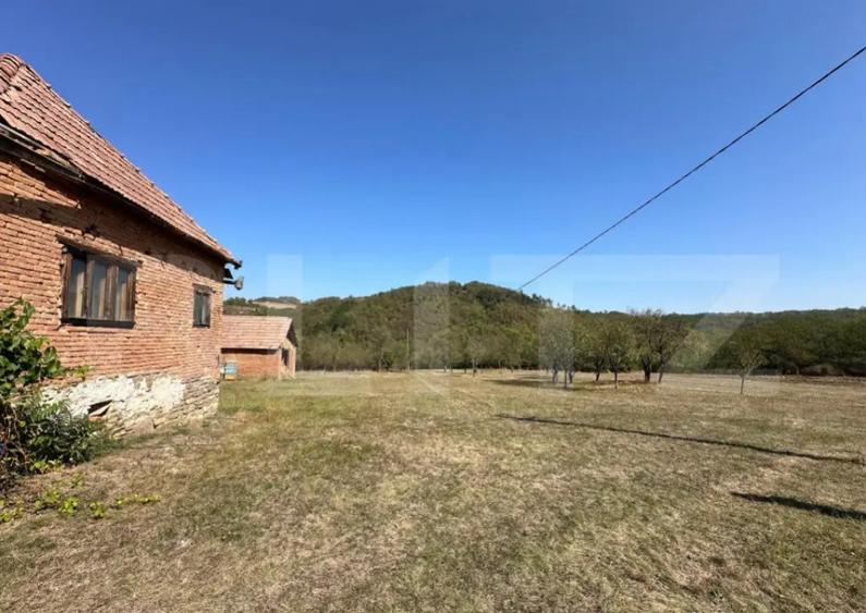 Teren intravilan de vanzare 14000mp,ideal pentru investitie, - 5