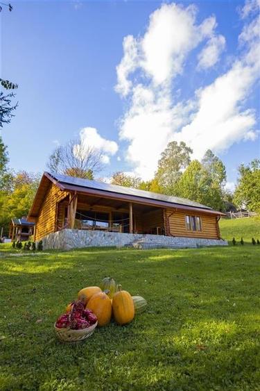 PROPRIETATE SPECIALA OPORTUNITATE COMERCIALA - 3