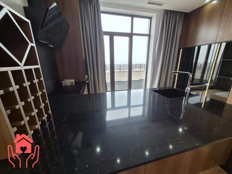 IANCU NICOLAE (ZOO)-PENTHOUSE 250 mp utili + 250 mp terasa, 3 dormitoare! - 10