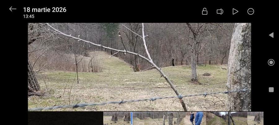 Vand teren extravilan, 4197 mp, - 3