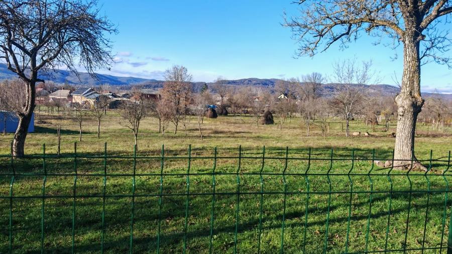 Teren de vanzare – 2.550 mp, pozitie excelenta, Stalpeni (zona centrala), jud AG - 6