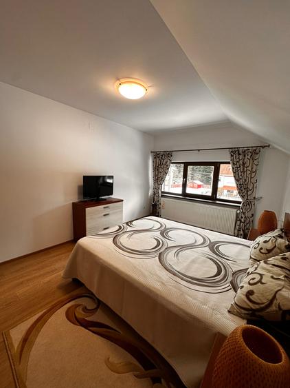 VILA DE INCHIRIAT IN MIJLOCUL NATURII - 38