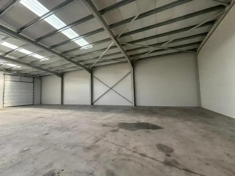 Hala de Inchiriat 590 mp  | Parcul Industrial TBM | Chiajna-Chitila - 4