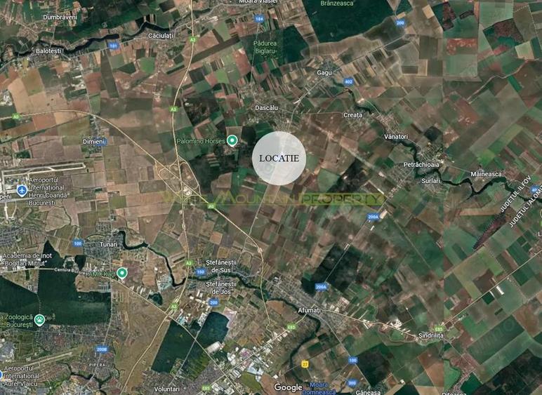 Dascalu, Ilfov, 2 ha teren de vanzare - 1