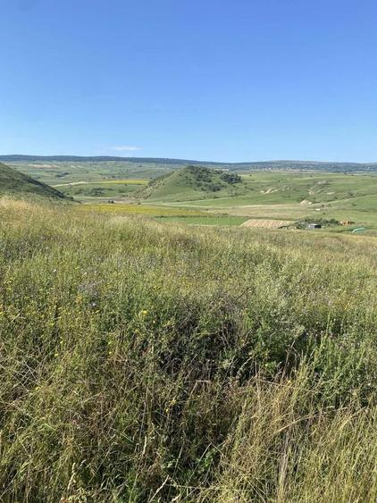 Vand teren intravilan 2528 mp - 2