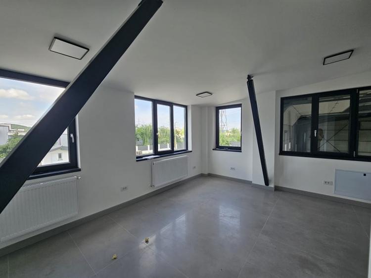 Hala noua de inchiriat str. Trei Fantani - 8