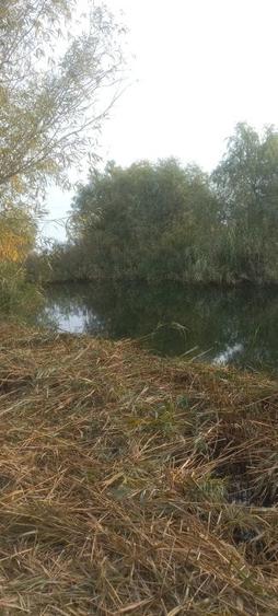 Casa si teren deschidere canal - 10