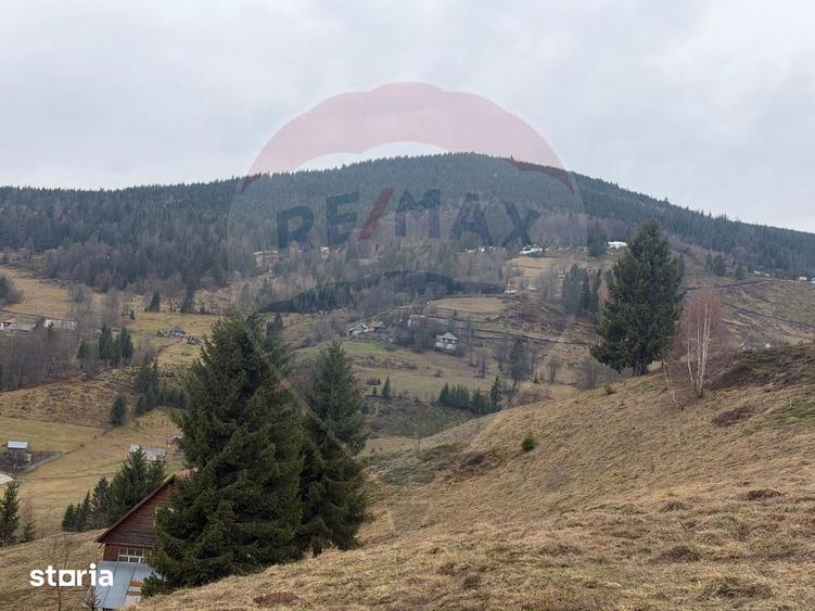 Teren de vanzare in inima Apusenilor 6.500 mp Arie?eni - 13