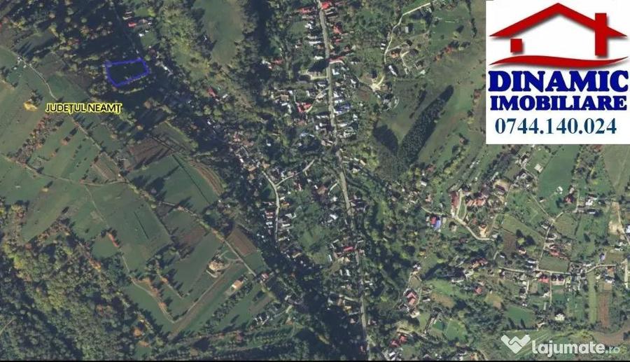 3600 mp teren intravilan, sat Bistrita, 12 Euro/mp - 7