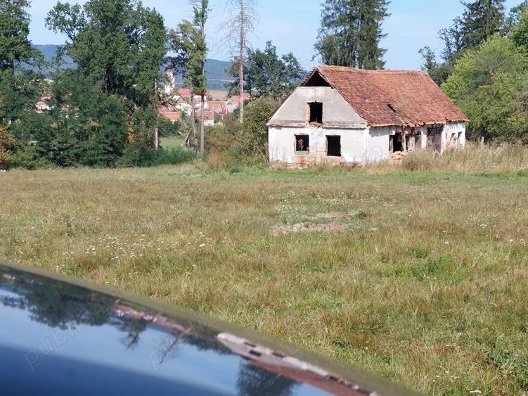 Inchiriez intretin casa cu teren Codlea sau imprejurimi - 1