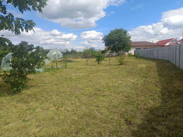 Casa si teren de vanzare - 5