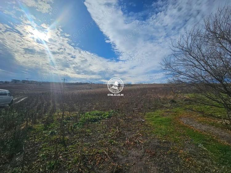 Teren de Vanzare Valea Lupului - 3