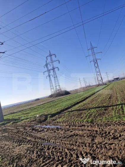 Teren de 5000 mp, în Central