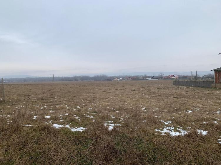 Teren Construcții intravilan de 2000 mp, în Părhăuți
