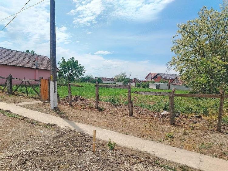 Teren de 1200 mp, în Sânnicolau Român
