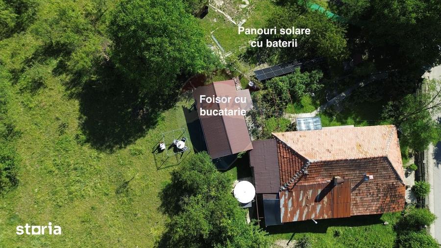 Casa de vanzare in natura la tara - Mihaesti - 15
