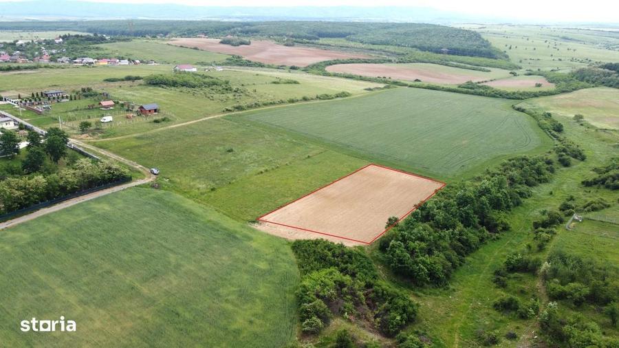 Teren intravilan 2.935 mp in Viile Satu Mare | Aproape de padure - 6