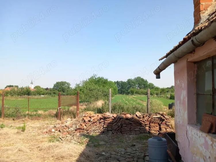 Casa batraneasca cu teren generos 2877 mp in satul Brestea (comuna Denta, jude?ul Timi?) - 1