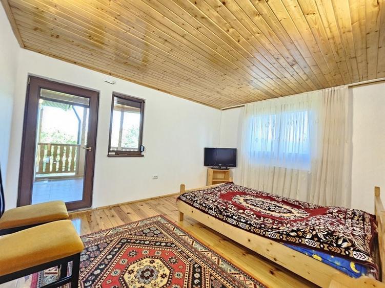 Vila superba de vanzare in Vintila Voda, Buzau D+P+1 si anexe - 32