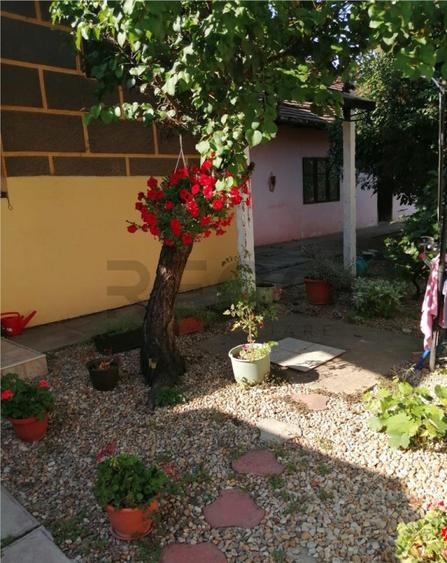 RECO Casa centrala Salonta - 16