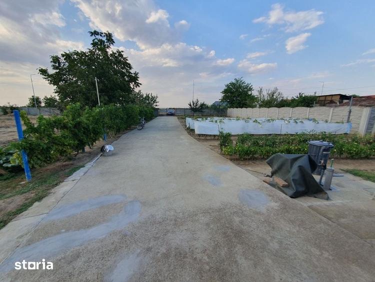 Spațiu comercial, de 382 mp, în Peciu Nou