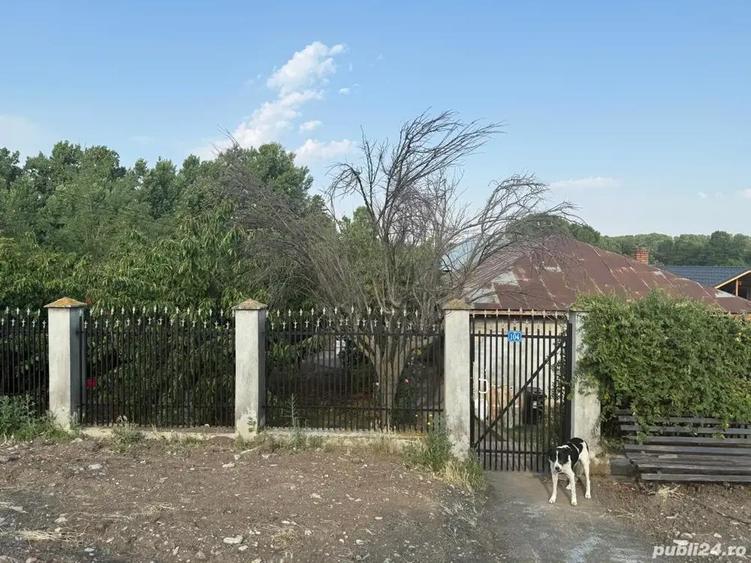 Casa de vanzare - 2