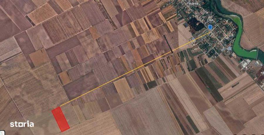 Teren agricol Frumusani, 5,7 ha - 1